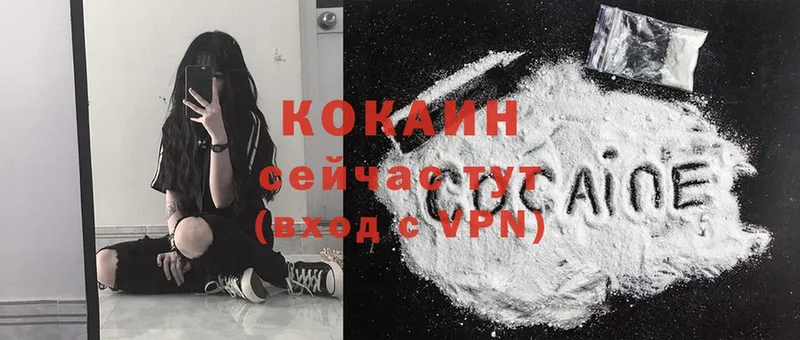 где купить   Калтан  Cocaine Fish Scale 