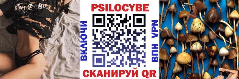Псилоцибиновые грибы Cubensis  цена   Калтан 
